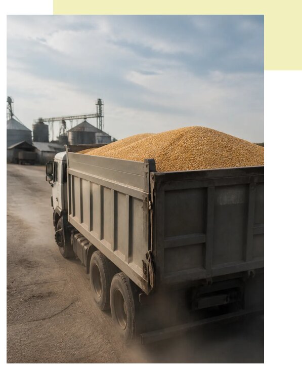 Перевозка сельхозпродукции навалом в Наро-Фоминск по цене от 3074 р. | Агросервис-Нр-